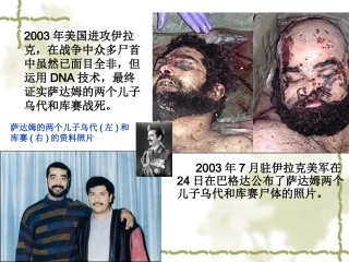 生物必修第二章第三节课件