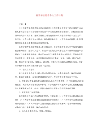 校青年志愿者个人工作计划