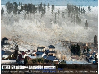 地震中的父与子课件(10)