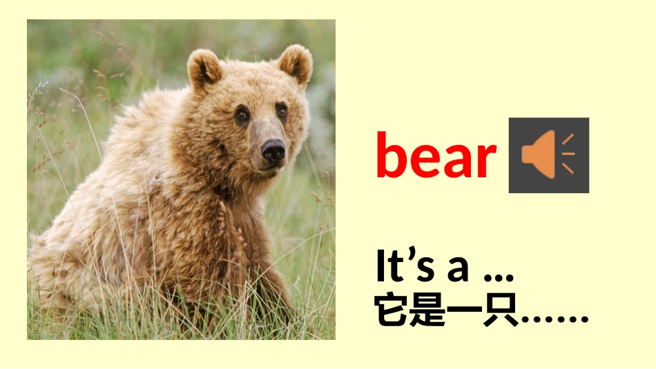 PEP三年级上Unit4ALet'slearn_第3页