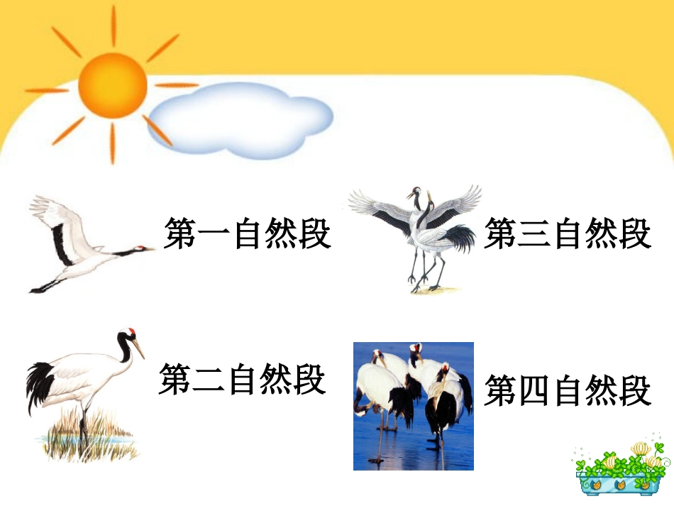 美丽的丹顶鹤 (2)_第3页