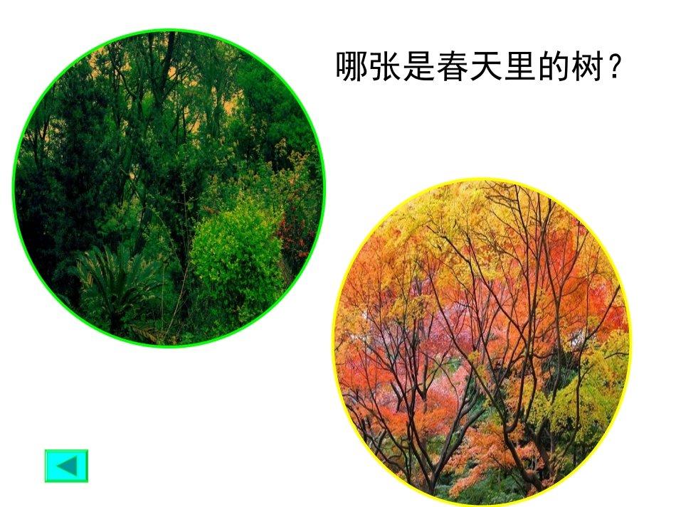 植物发生了什么变化 (2)_第2页