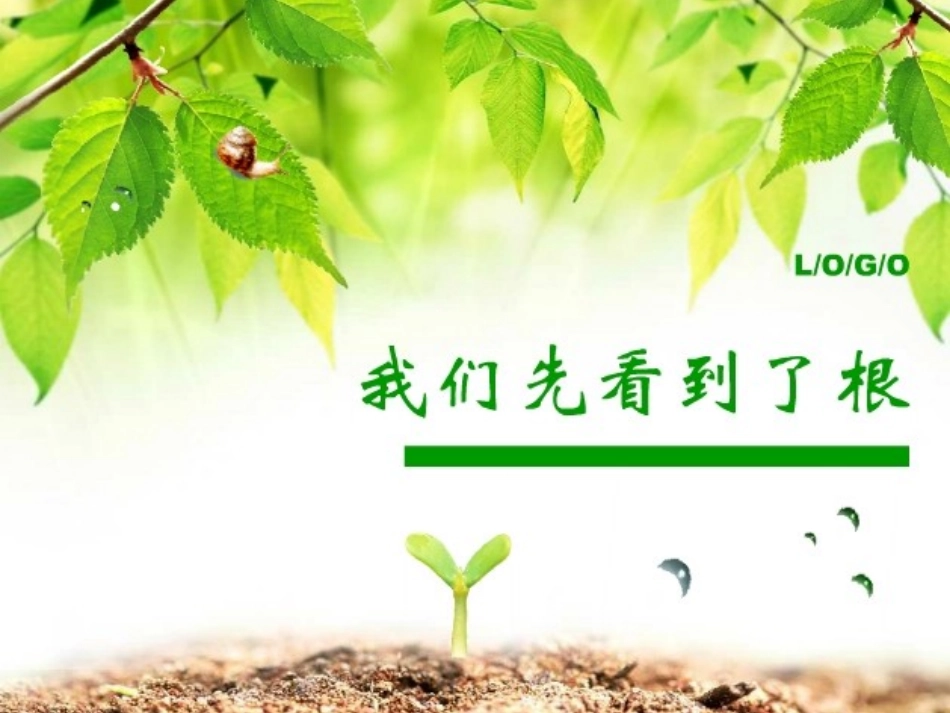 我们先看到了根_第1页