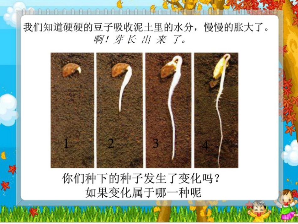我们先看到了根_第2页