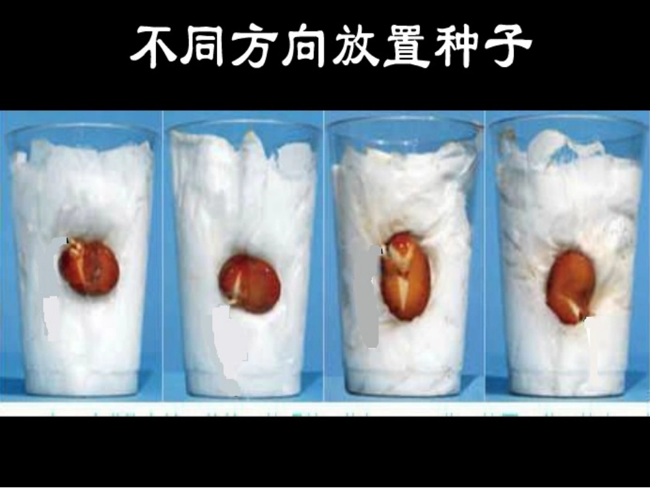 我们先看到了根_第3页