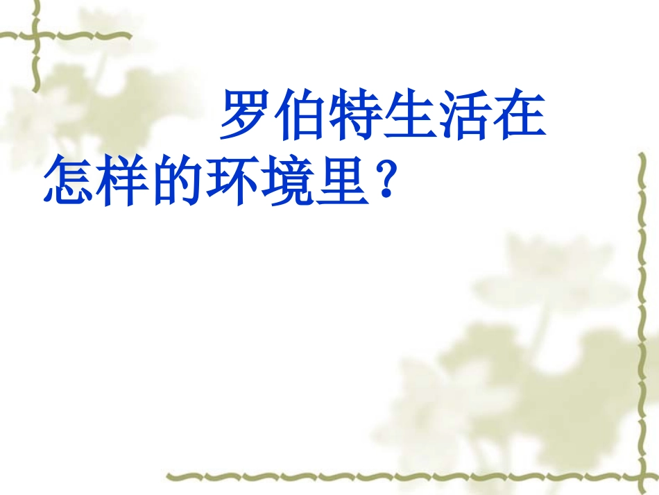 黑孩子罗伯特1_第3页