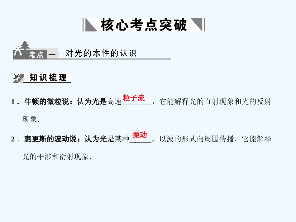 【创新设计】2011届高考物理一轮复习 第1课时  光的波动性课件 人教大纲版_第2页