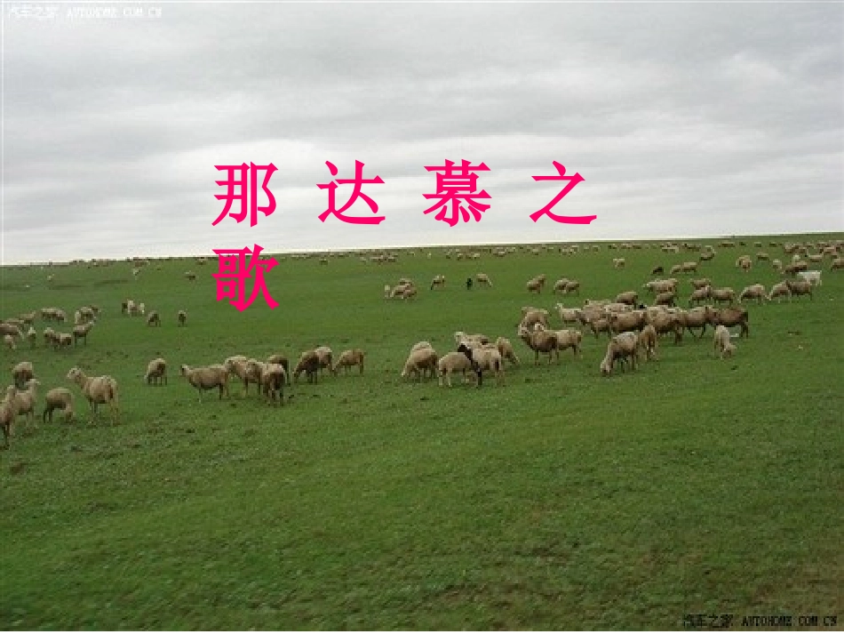 那达慕之歌 (2)_第1页