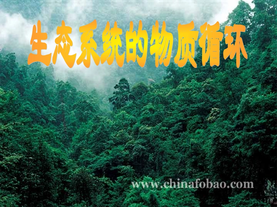 生态系统的物质循环_第1页