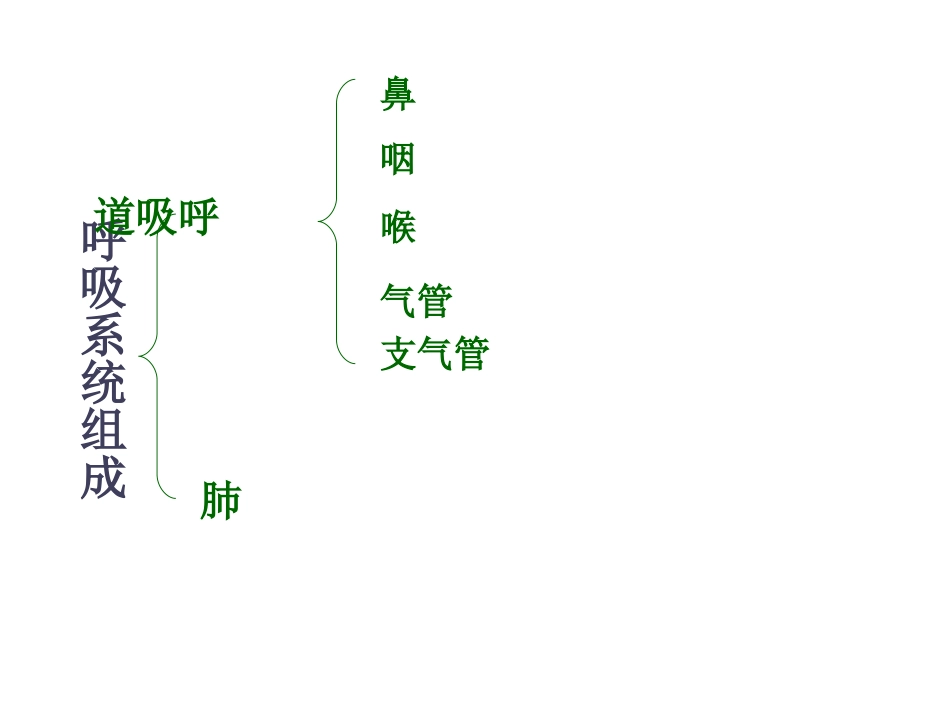 七年级生物下册_第三章_第一节_呼吸道对空气的处理课件_新人教版_第3页