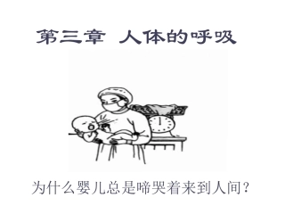 七年级生物下册_第三章_第一节_呼吸道对空气的处理课件_新人教版