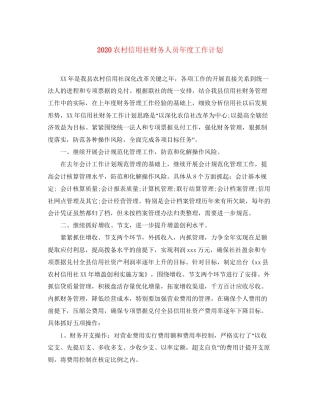 农村信用社财务人员年度工作计划