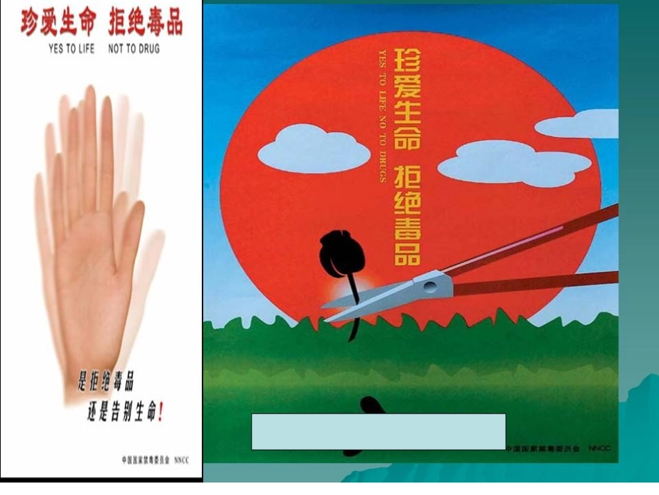 禁毒主题班会_第1页