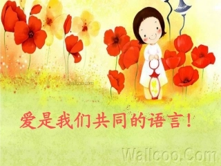 《再塑生命》李雪扬