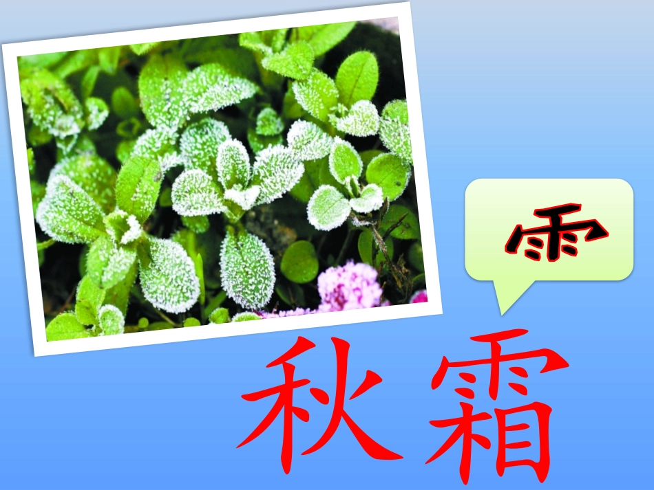 【01】《识字1春夏秋冬》_第3页
