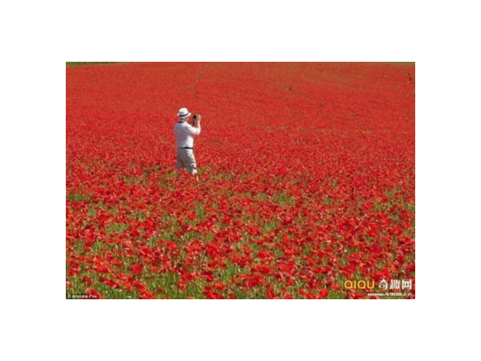 禁毒教案课件_第3页