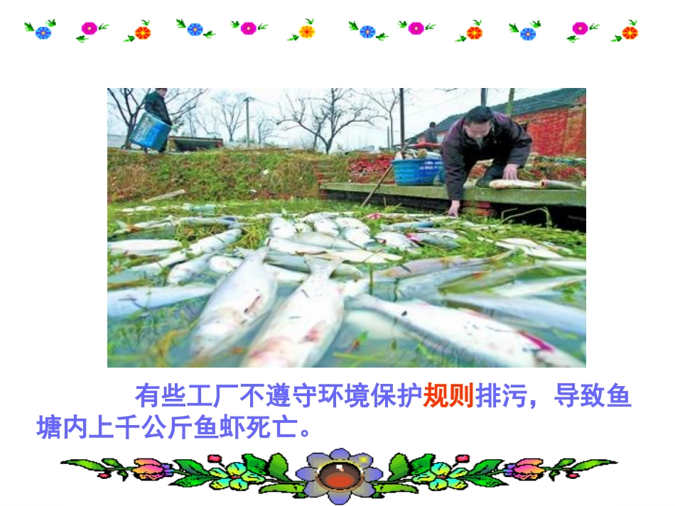 《谁说没有规则》课件_第2页