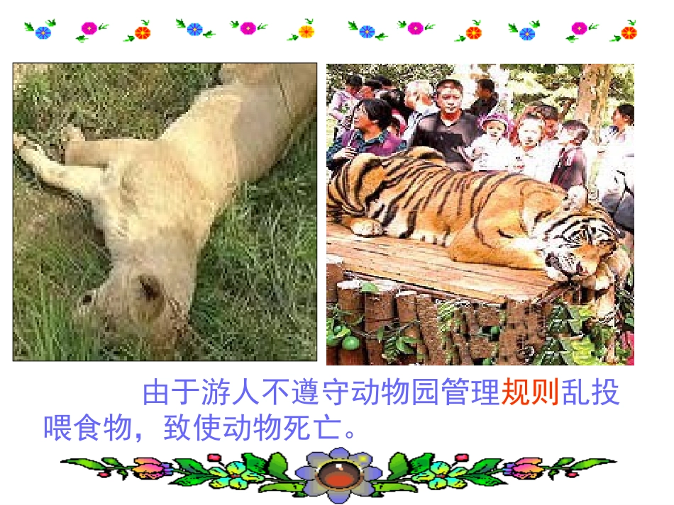 《谁说没有规则》课件_第3页