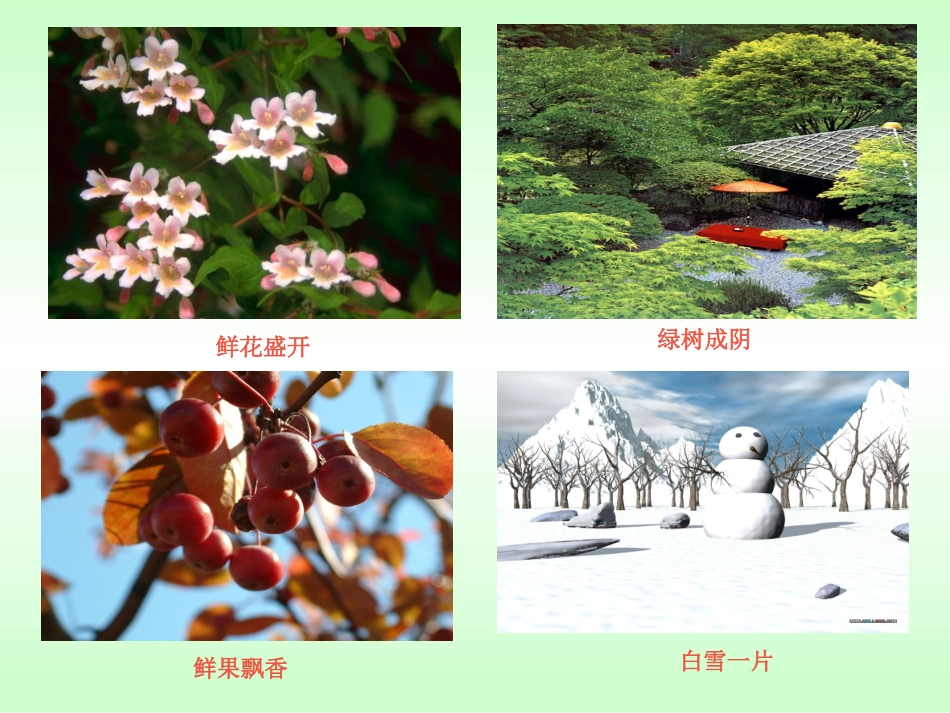 《巨人的花园》课件 (2)_第2页