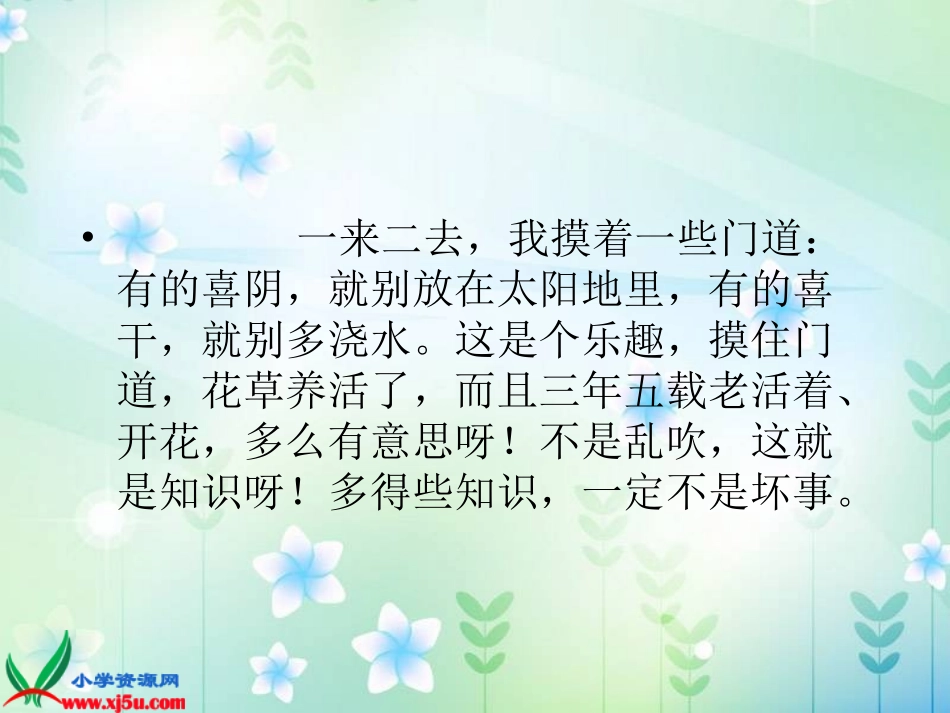 《养花_》PPT课件_第2页