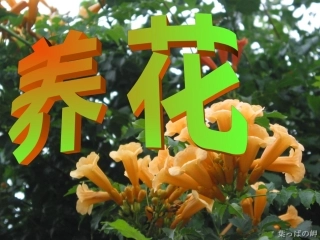《养花_》PPT课件