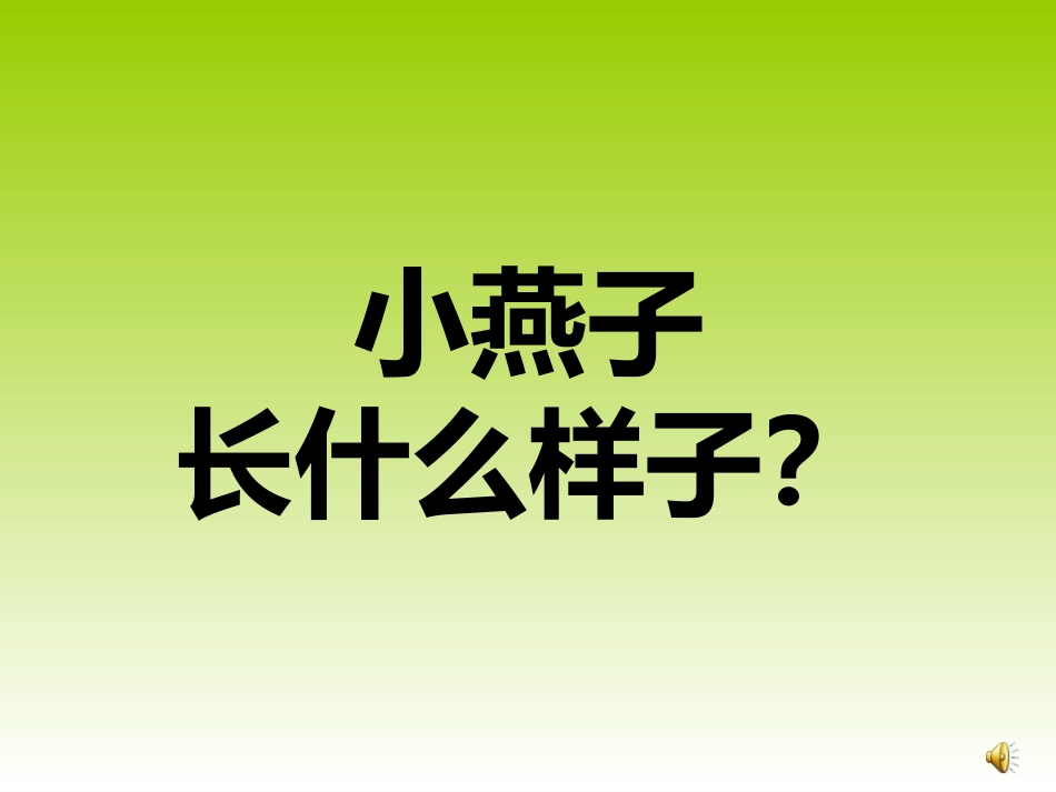 科学活动：小燕子回来了_第3页