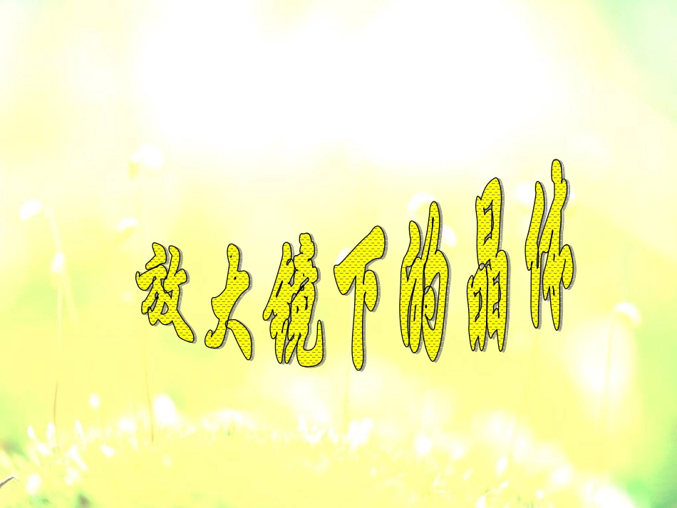 《放大镜下的晶体》课件_第1页