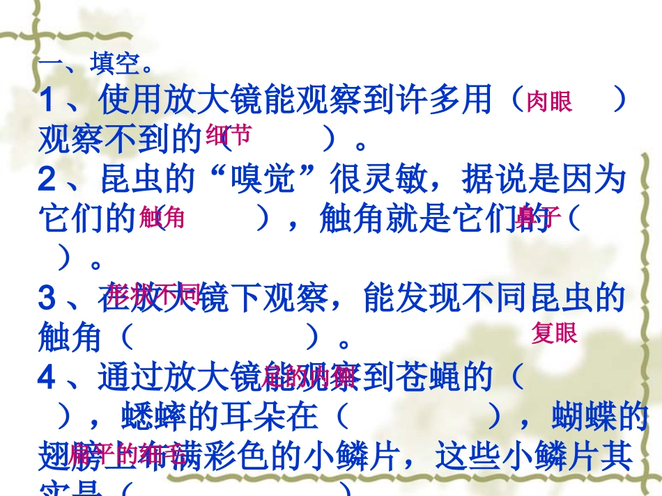 《放大镜下的晶体》课件_第2页