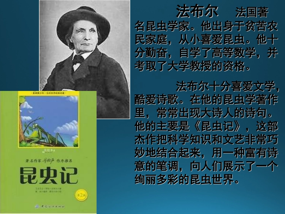 《蟋蟀的住宅》 (3)_第2页