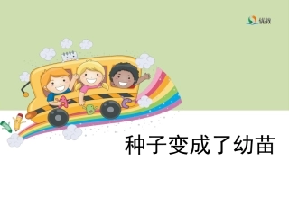 《种子变成了幼苗》教学课件