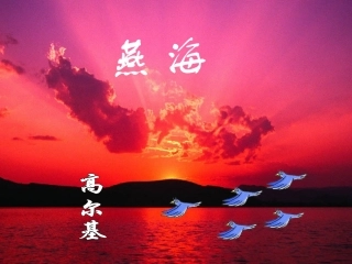 八年级《海燕》课件2