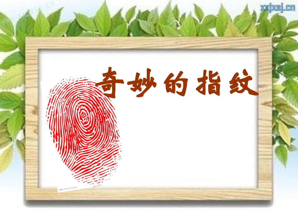 《奇妙的指纹》课件_第3页