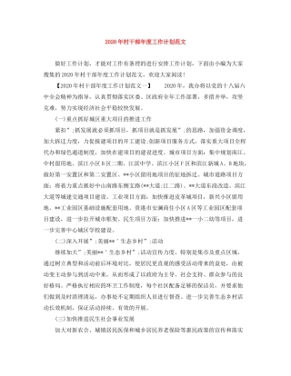 2020年村干部年度工作计划范文