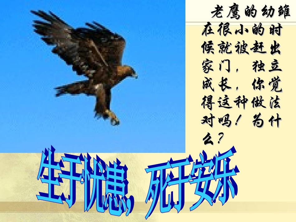 生于忧患，死于安乐22_第3页