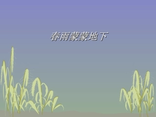 《春雨蒙蒙地下》课件