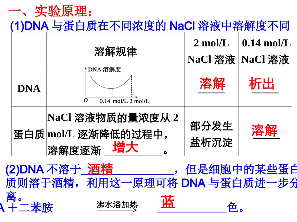 DNA的粗提取与鉴定实验_第2页