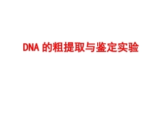 DNA的粗提取与鉴定实验
