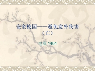 安全校园主题班会
