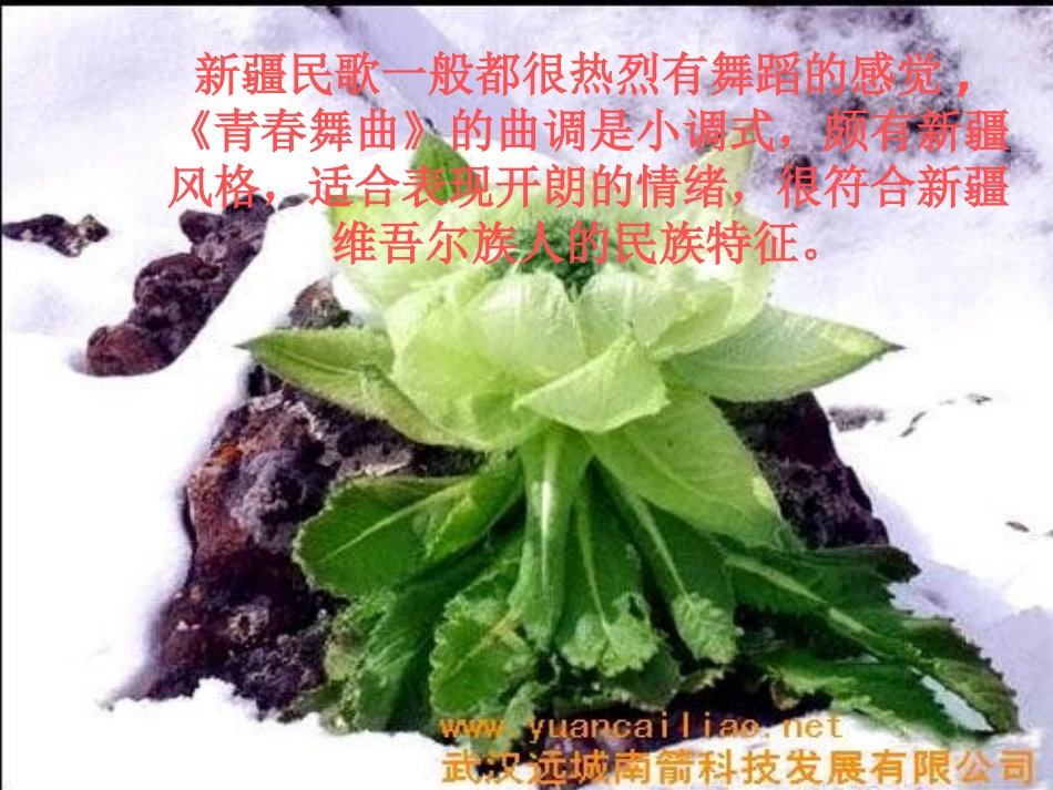 青春舞曲课件_第3页