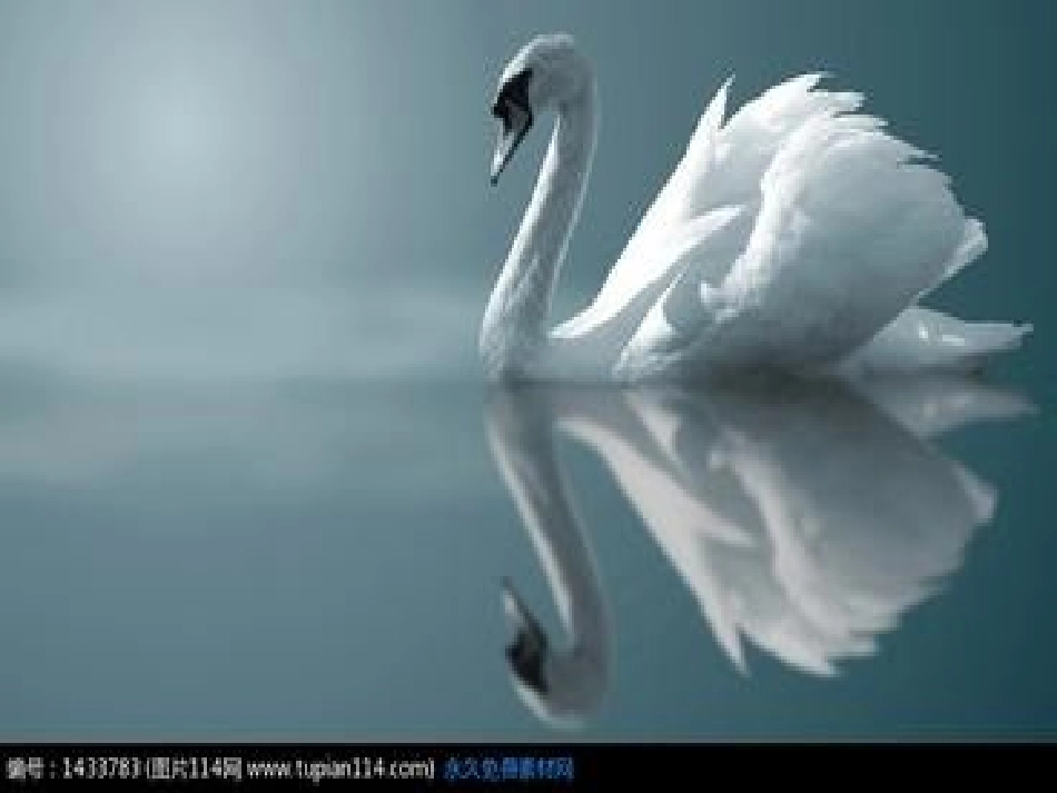 《丑小鸭》课件_第1页