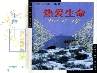 热爱生命（卫国郭玲）9