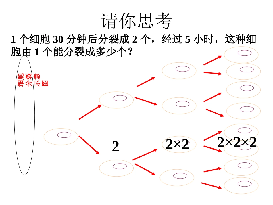 七年级数学上册151有理数的乘方（第一课时）课件_第3页