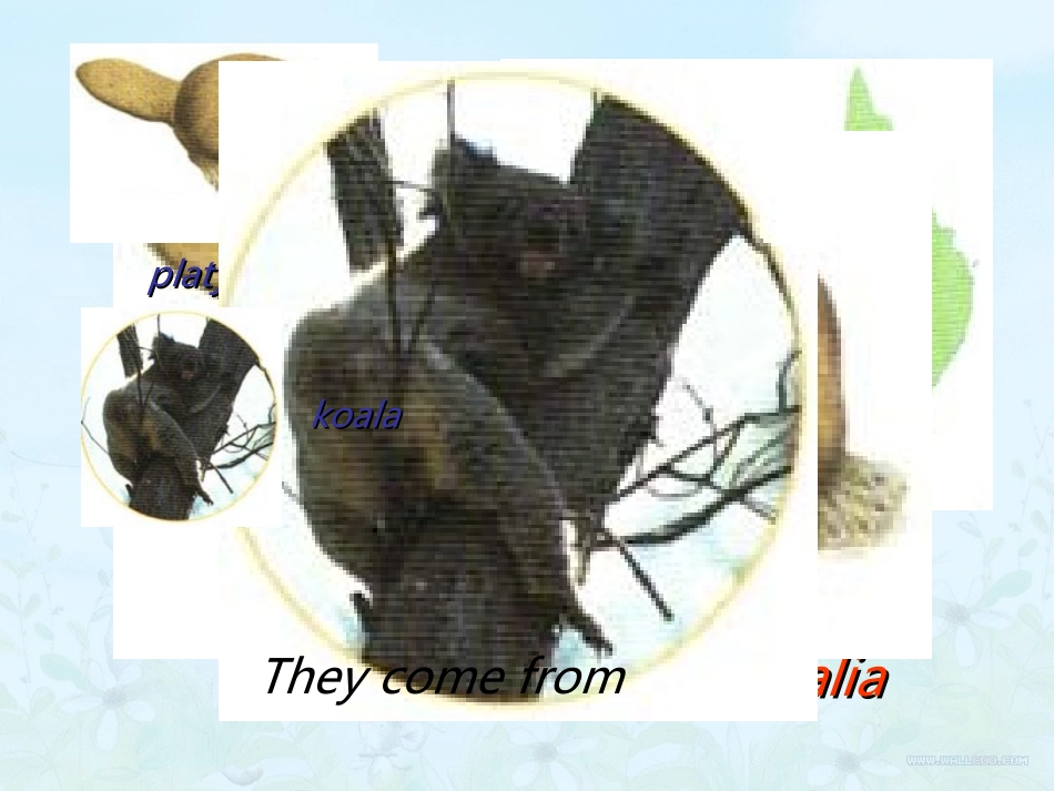 六年级英语L29_第2页