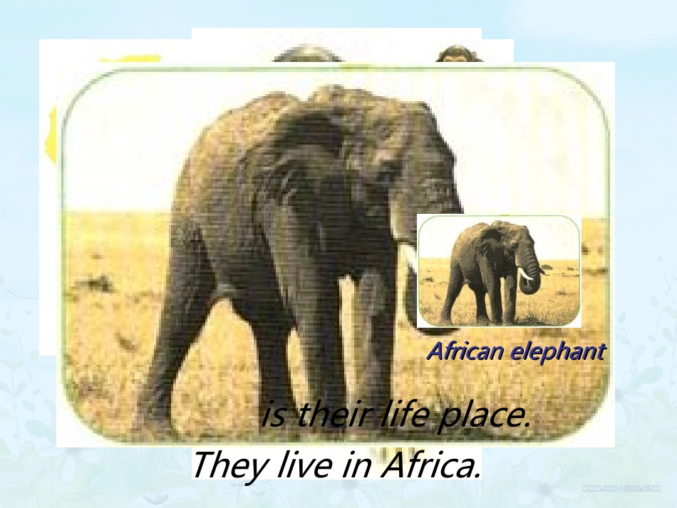 六年级英语L29_第3页