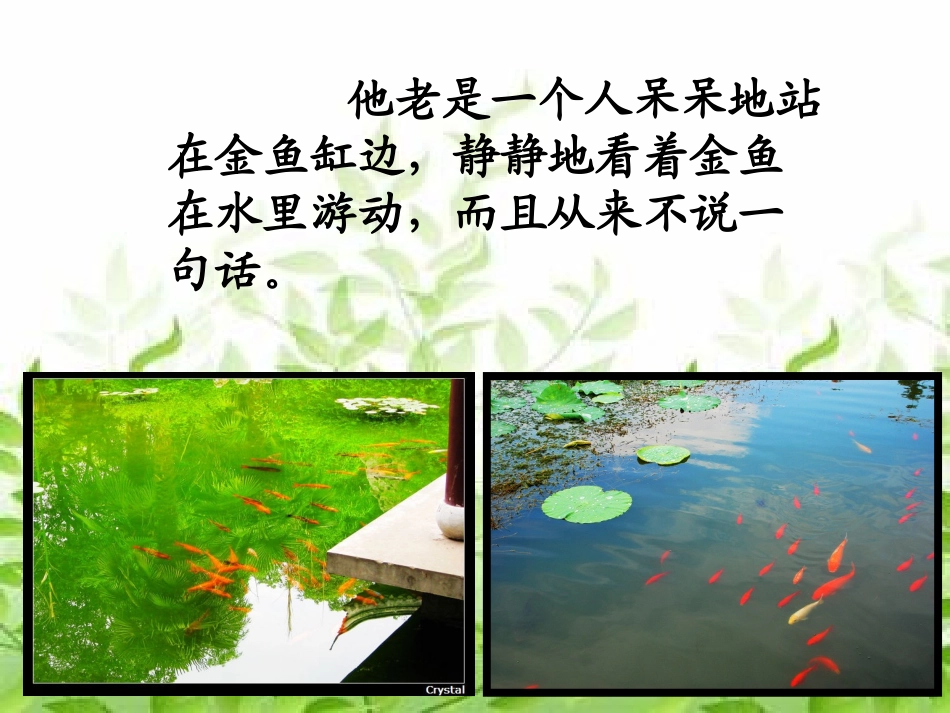 鱼游到纸上（二课时）_第3页