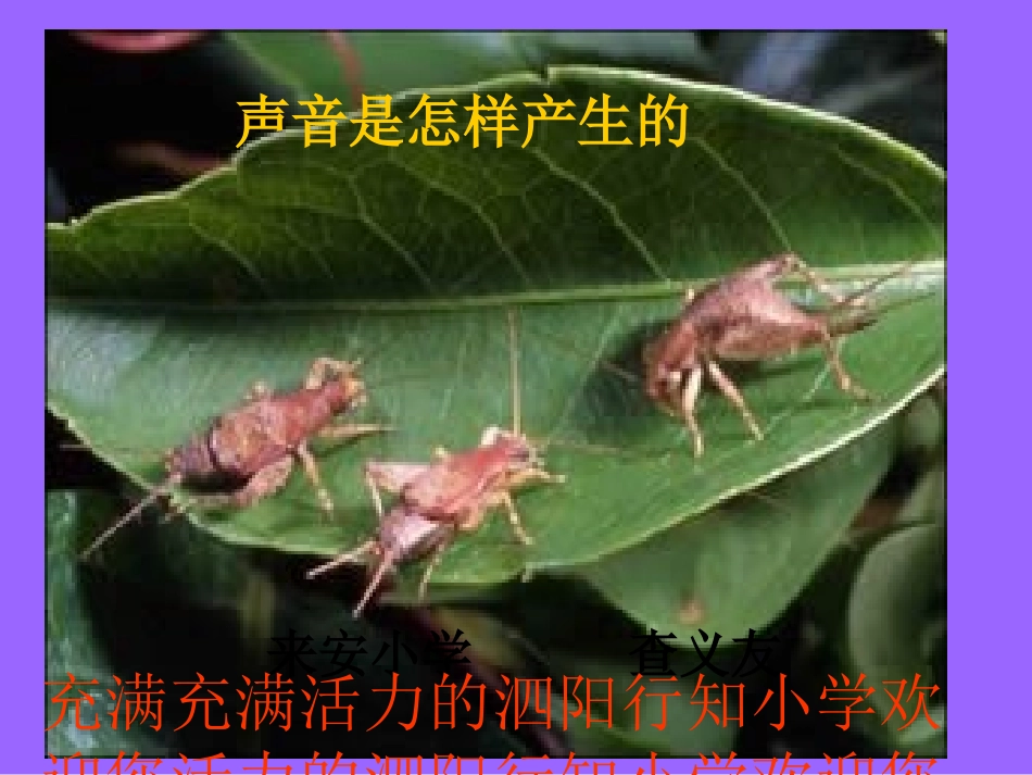 《声音是怎样产生的》PPT课件_2_第3页