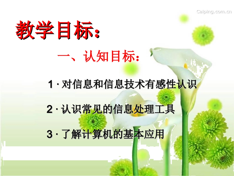 信息与信息技术教案_第2页