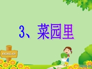 《菜园里》优秀课件
