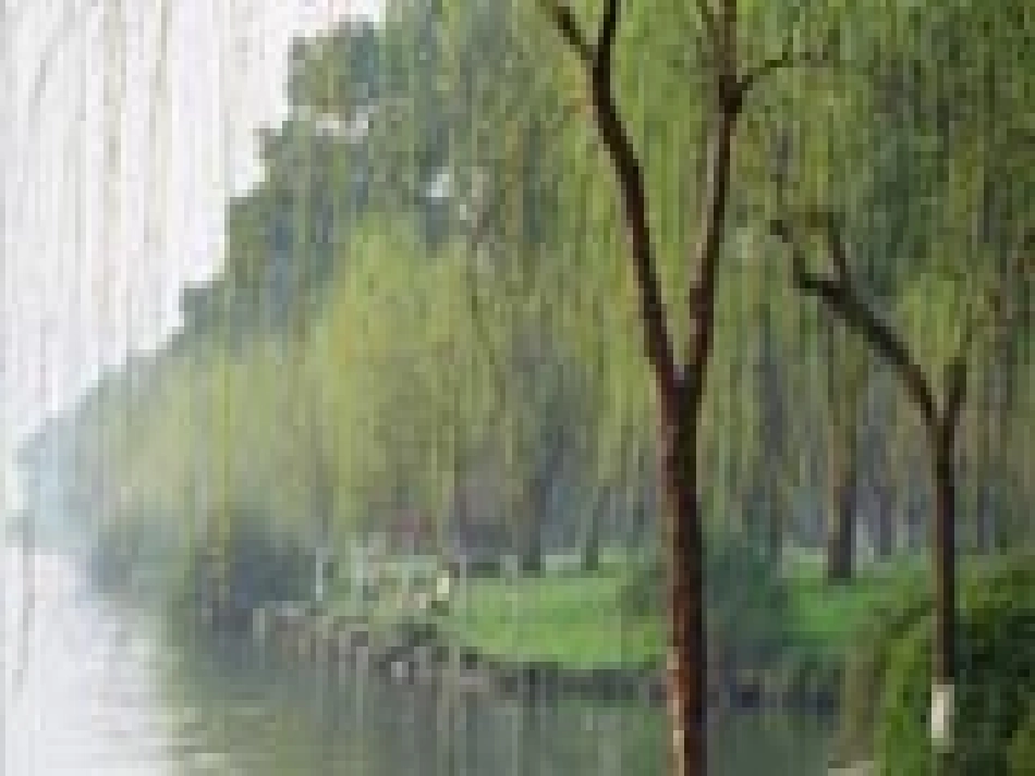 《钱塘湖春行》课件3_第2页