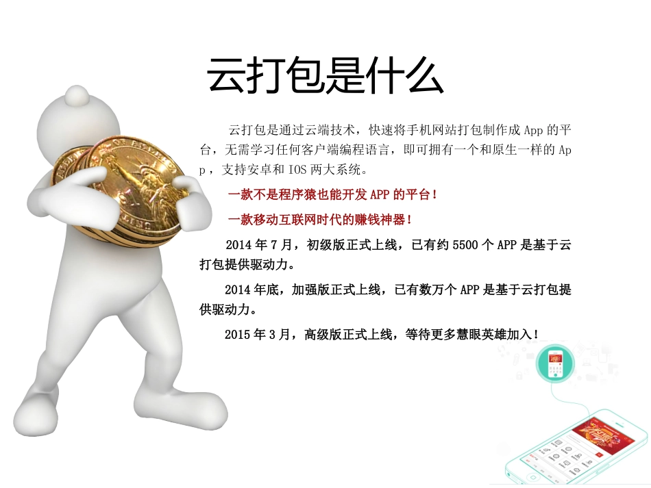 云打包招商方案_第2页